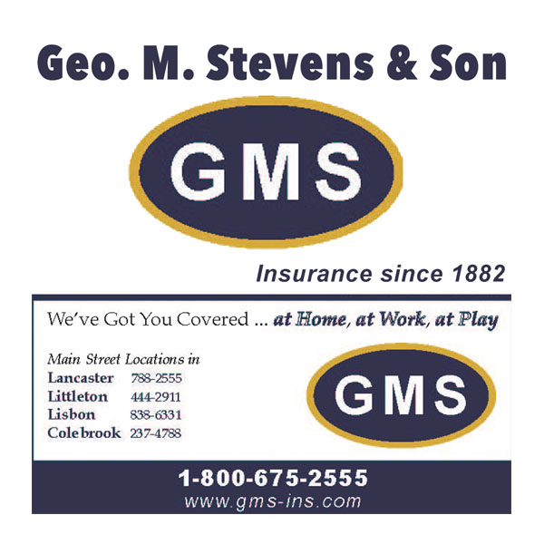 GMS Logo